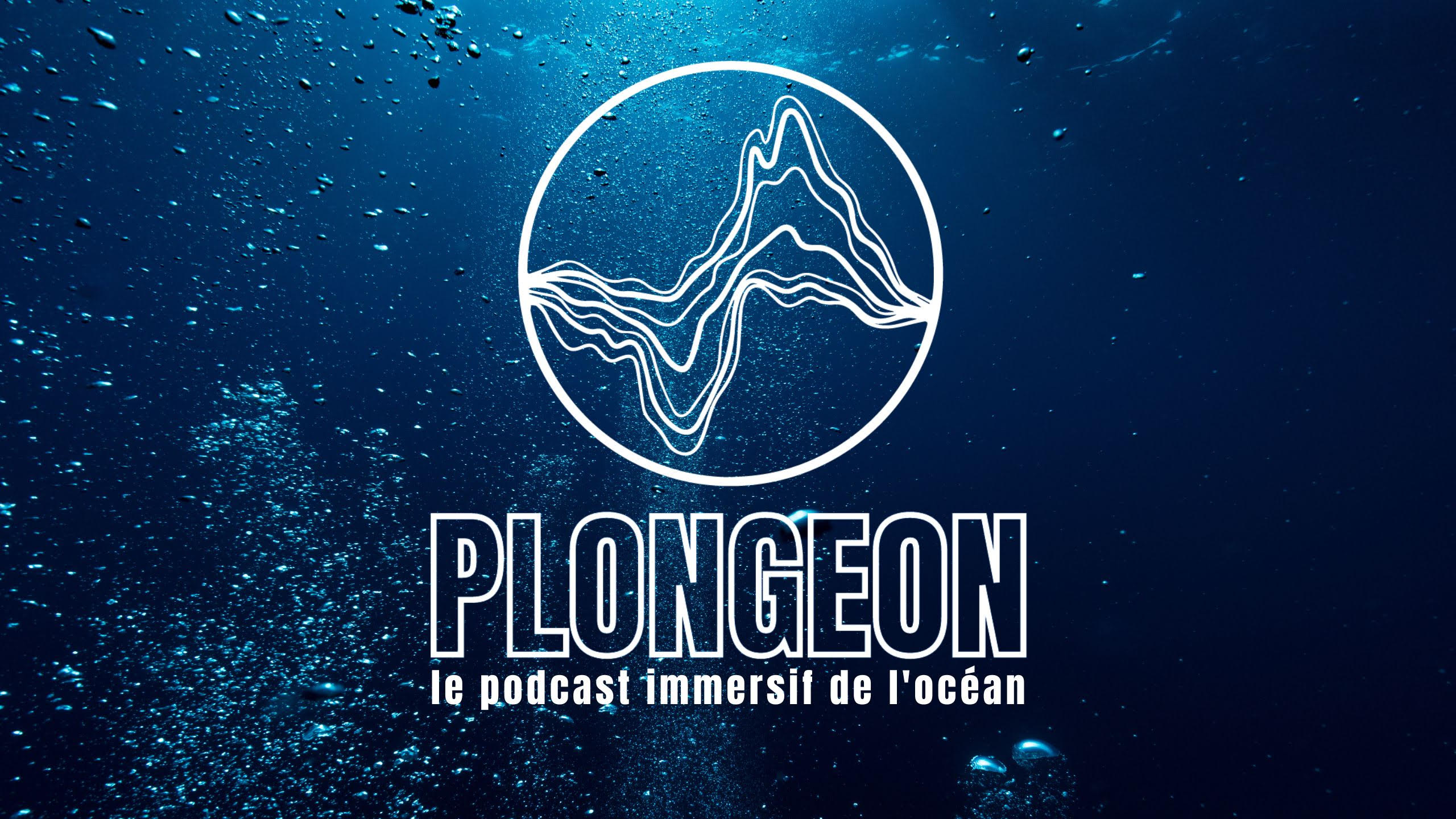 Plongeon (Podcast)